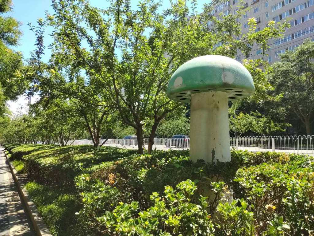 Fiberglass Fungi: the Mystery of Beijing’s Giant&nbsp;Mushrooms